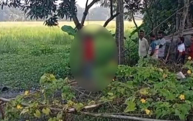 সালথায় যুবকের ঝুলন্ত মরদেহ উদ্ধার
