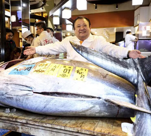 ৩২ লাখ ডলারে বিক্রি ২৪৩ কেজি ওজনের টুনা মাছ